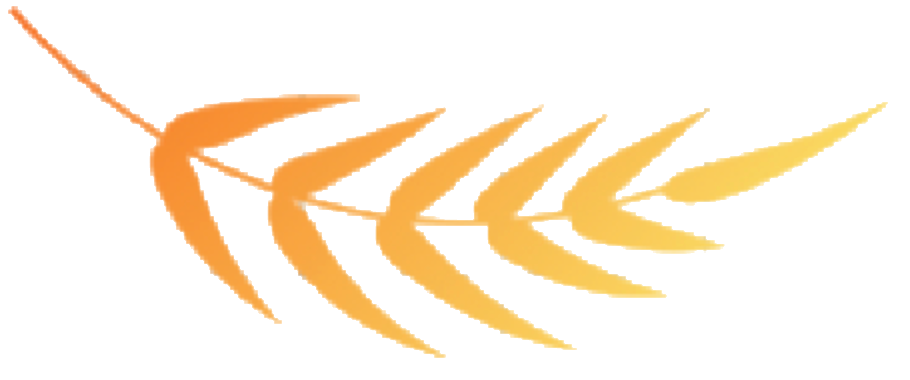 Feuille trans